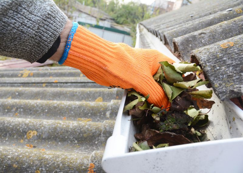 Clogged Gutter Clearing in Annapolis, MD