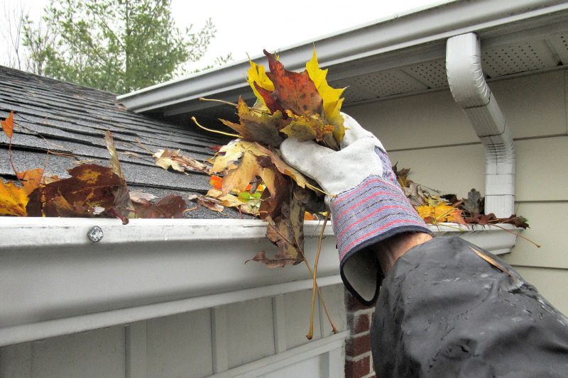 Gutter Leaves Removal in Fredericksburg, VA
