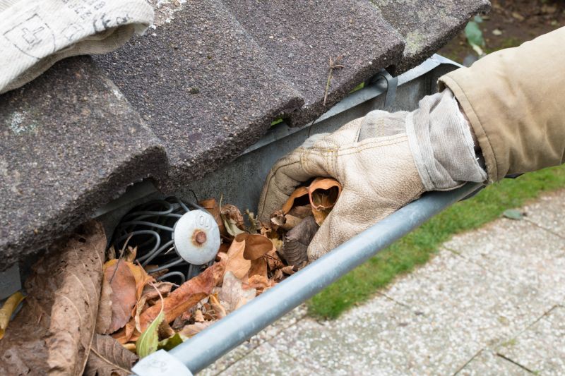 Gutter Pine Needle Removal in Long Island, NY