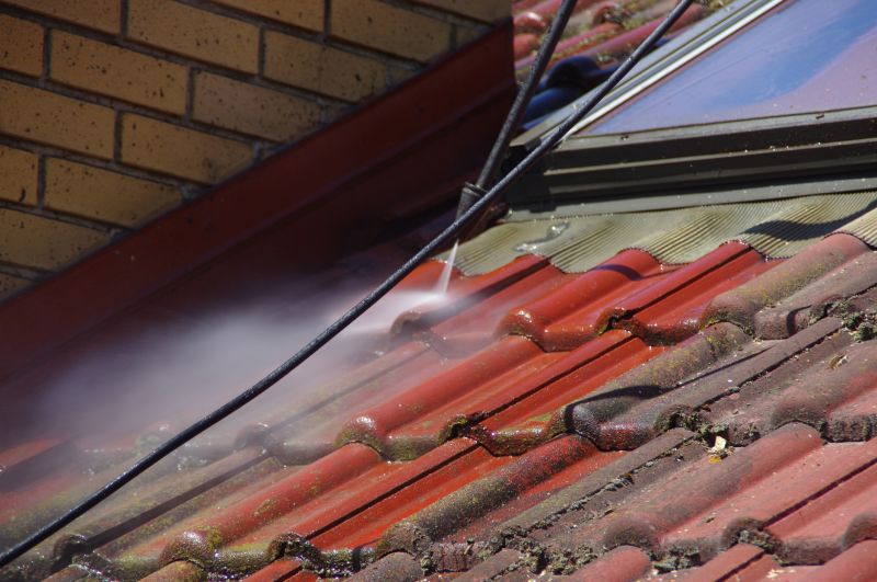 Gutter and Roof Cleaning